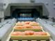 Di cosa è fatto il packaging: i nuovi materiali innovativi sempre più green