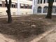 Un nuovo giardino per l'apprendimento e il divertimento: riqualificazione del cortile della scuola elementare di via Manzoni a Cameri