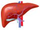 A Novara il terzo incontro nazionale sul colangiocarcinoma