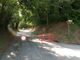 Varallo Pombia, chiusa al traffico l'intersezione tra via Selvigia e via Crosa per pali pericolanti