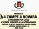''4 Zampe a Novara'': incontri per adozioni consapevoli