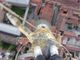 Due ragazzi si arrampicano sulla Cupola Antonelliana per un selfie, denunciati dalla polizia locale