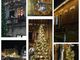 Romagnano Sesia illumina il Natale: accesi gli alberi in piazza e in cascina Mauletta Romagnano Sesia illumina il Natale: accesi gli alberi in piazza e in cascina Mauletta