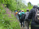 Una camminata alla scoperrta della natura del Lago d'Orta