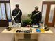 In casa una serra di marijuana: in arresto un 22enne