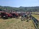 Maggiora Agri Festival conquista il pubblico: 8 mila presenze per la seconda edizione