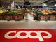 A Borgomanero 13 partner con Nova Coop danno vita al progetto ‘Impatto’