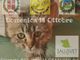 Domenica Microchip gratuiti per i gatti di Trecate