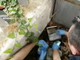 ​Maxioperazione antidroga a Novara: eseguite 26 misure cautelari. VIDEO