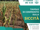 Confronto su acqua e siccità a Vicolungo
