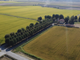 Agricoltura e cambiamenti climatici: a Novara due convegni per il futuro del riso