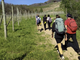 Turismo lento, cresce il Cammino delle colline novaresi