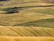 Nominati i rappresentanti novaresi del ‘Tavolo del Partenariato agroalimentare e rurale’