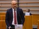 Panza (Lega): “La Slovenia vuole rubarci l'aceto balsamico. Interrogazione alla Commissione europea”