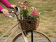 Torna ad Arona l'evento 'Biciclette in fiore' con una pedalata addobbata