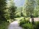 ‘Passeggiare giocare scoprire il bosco’ con il Cai di Gozzano
