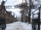 I no green pass a Novara sfilano come i prigionieri di Auschwitz