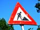 Novara: proseguono i lavori di riqualificazione strade e marciapiedi