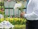 Servizi cimiteriali, l'assessore regionale alla Sanità plaude alla nuova legge: “Un atto di civiltà”