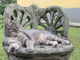Open day in ricordo di Barbara Pastori: alla scoperta del mondo dei gatti