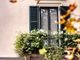 Novara fiorisce con la seconda edizione di Balconi in fiore: al via le iscrizioni