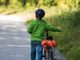 Codice della strada, Rosso (FI): “Grande vittoria in Commissione Trasporti. Recepito il nostro emendamento per introdurre l'obbligo del casco fino a 12 anni per i bambini che vanno in bicicletta”