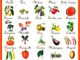 A Trecate torna l'AgriMercato di Campagna Amica