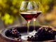 “Just Wine” a Novara, nella serata di giovedì 11 luglio in Piazza delle Erbe