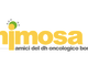 Borgomanero: il 14 settembre l'inaugurazione della nuova sede Mimosa e la presentazione delle attività