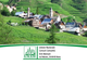 Emergenza cinghiali, Uncem: sono troppi, alla conquista del territorio montano abbandonato e delle foreste non gestite. Necessarie azioni straordinarie di prelievo