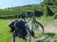 A Tornaco &quot;Pedalar mangiando 2019&quot;
