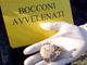 Notizie dal Piemonte. A Vercelli è allarme bocconi avvelenati