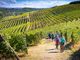 Dalla Regione 9,2 milioni per la promozione dei vini piemontesi nei paesi terzi