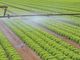 Coldiretti, pozzi irrigui: servono proroga per il ricondizionamento e risorse economiche