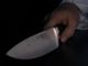 Dal Nord Ovest. Rimproverata dall'insegnante, allieva di una scuola media di Biella estrae dalla tasca un coltello da cucina in classe