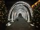 'Una meraviglia di Natale': Novara si illumina di magia