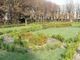 Il giardino all’italiana di Villa Cicogna cambia nome