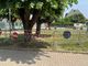 Recintata una porzione del Parco di Cerano