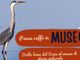 Esplorando il Museo: &quot;Pausa caffè&quot; tra le Curiosità