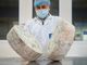 Gorgonzola Dop:  oltre 2 milioni di forme esportate nel 2023