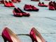 La Provincia di Novara si prepara a celebrare il 25 novembre, Giornata internazionale per l'eliminazione della violenza contro le donne