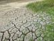 Coldiretti Piemonte lancia l'allarme: &quot;I cambiamenti climatici mettono a rischio produzione e occupazione&quot;