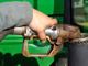 Coldiretti Piemonte: richiesta proroga per il gasolio agricolo a causa dell’autunno piovoso