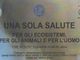 Il convegno &quot;Una sola salute&quot; per esplorare legami tra ecosistemi, animali e umanità