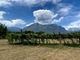 Cia: “Urgente un grande progetto di promozione per il vino piemontese”