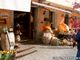 Val Vigezzo: confermata la 15° edizione di ‘Fuori di Zucca’, si terrà il 17 e 18 ottobre