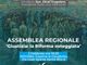 Italia Viva, assemblea regionale tematica a Novara: ”Giustizia: la riforma osteggiata”