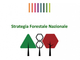 “Strategia Green Communities e quella forestale sono complementari” “Strategia Green Communities e quella forestale sono complementari”
