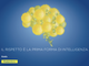 Poste italiane: in provincia di Novara un'azienda in rosa