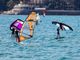 Gli sportivi amanti del mare e del vento si danno appuntamento al Wind Festival di Diano Marina